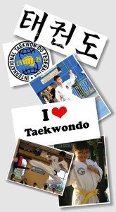 ITF Program - Taekwondo
